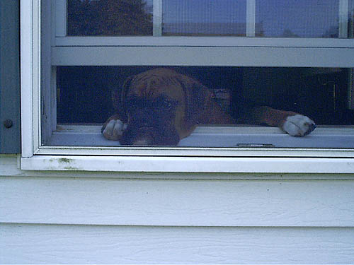 Where'd everyone go?