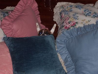 Where's Abigail?