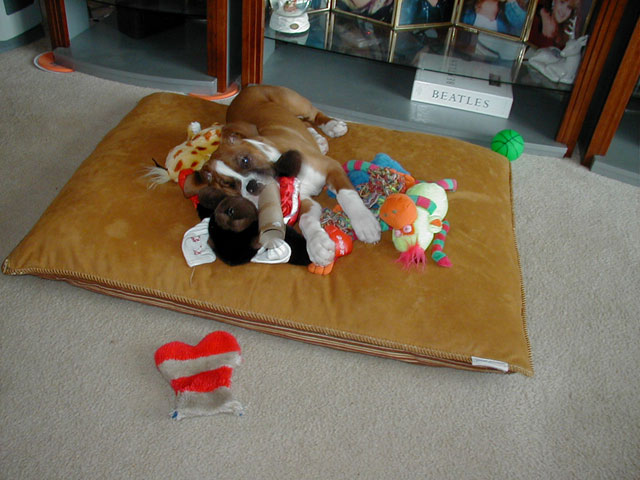 where's cody?