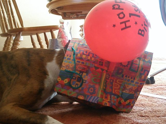 Where's my birthday present?