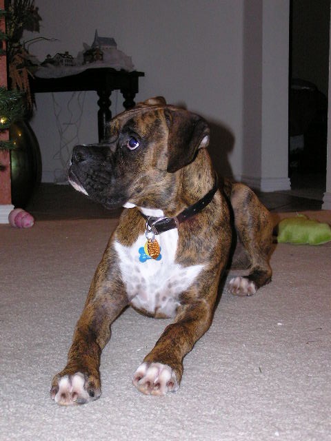 Where's my Christmas present Mom?