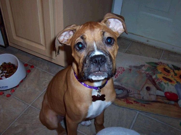 Where's my dinner?