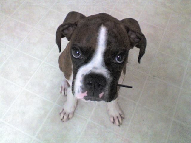 Where's my treat?
