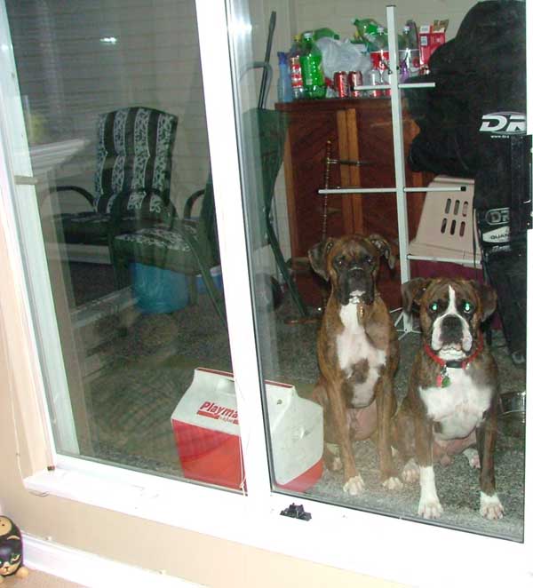 Wheres our Turkey???