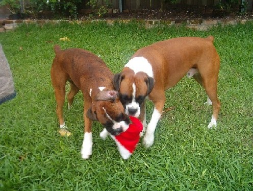 Where's Santa??