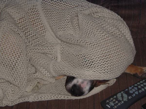 Wheres Shotze?