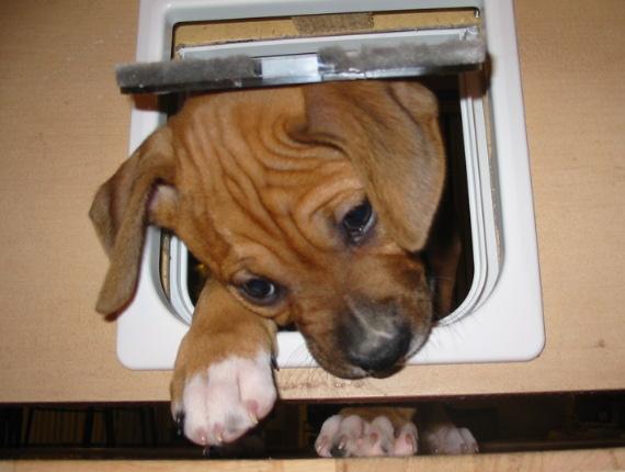 where's taz gone!!!!