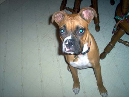 Where's that treat you promised?