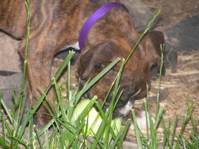 Where's the ball?