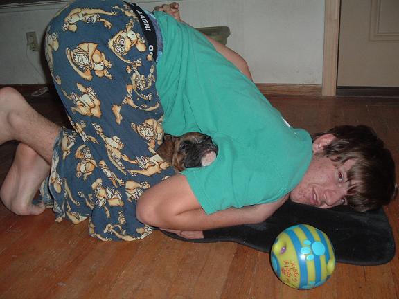Where's the Boxer?