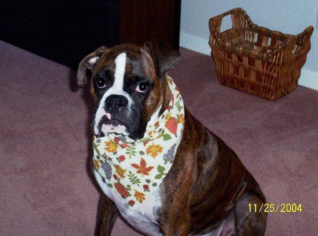 Where's the turkey?