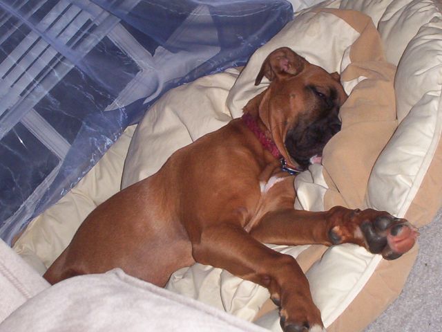 Whew am I tired!