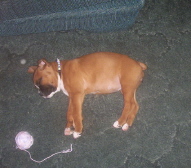 whew that ball of yarn wore me out.