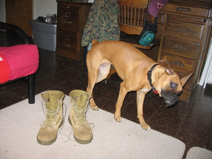 Whhheeeewww, Dad, your boots!