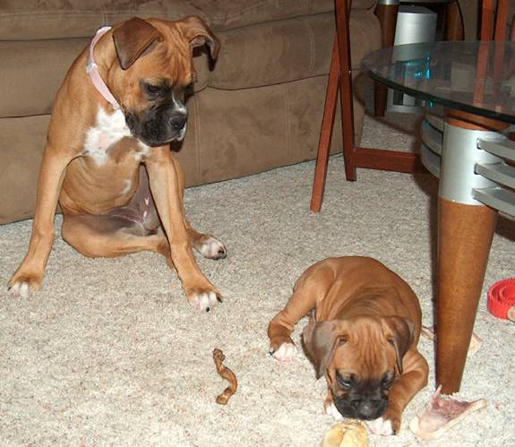 Who are you and what are you doing with MY bone?