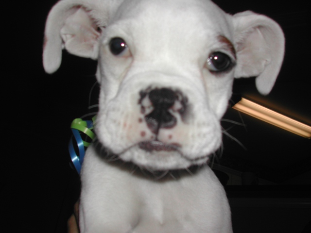 who can resist this little alien face?