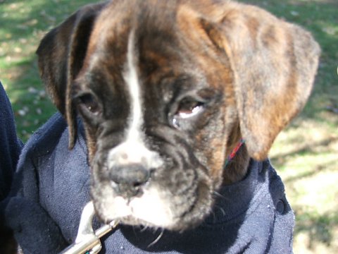 Who could say no to a face like this???