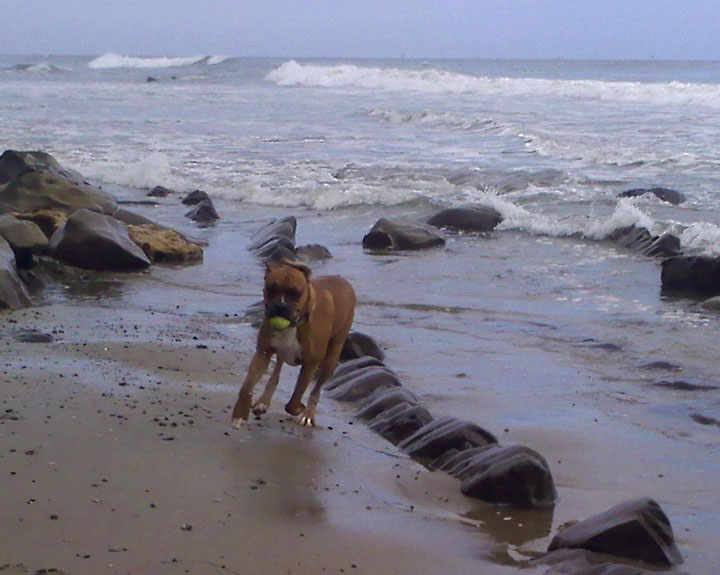 Who got da ball?