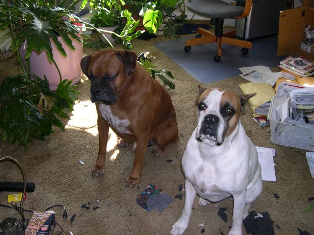 Who Made This Mess!!!!