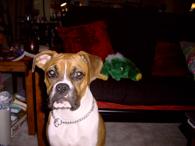 Who me? but mooooom!