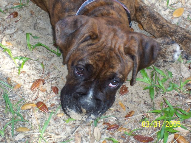 Who me?  Digging?  No Way