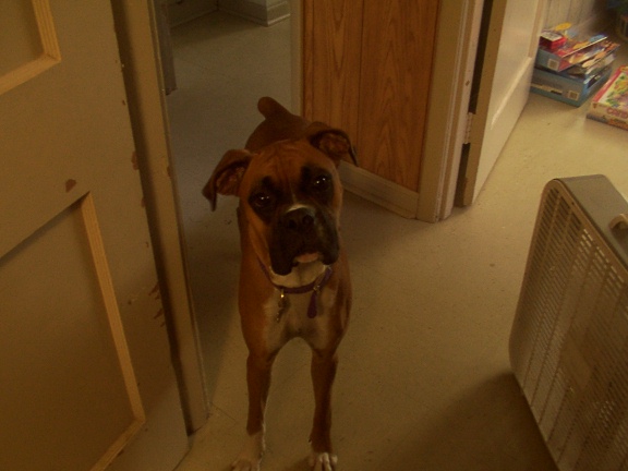 Who Me??