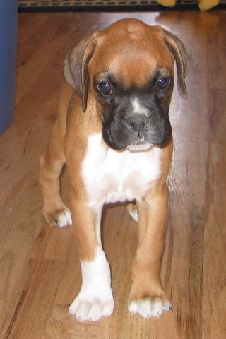 who me?