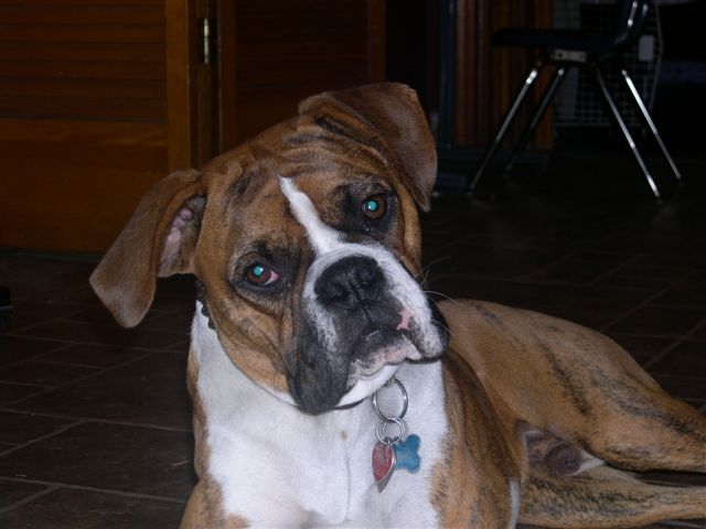 Who Me?
