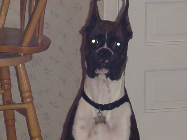 Who me?!?