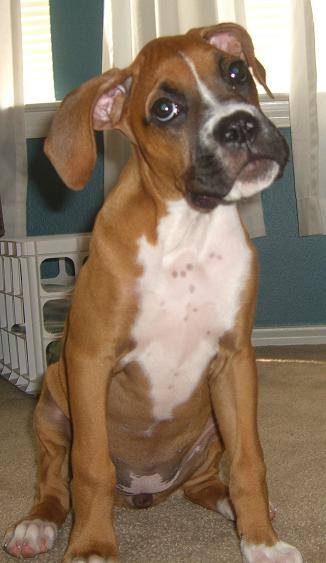 Who.... me???