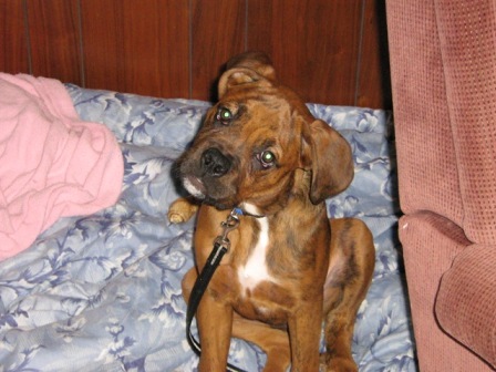 Who Me?