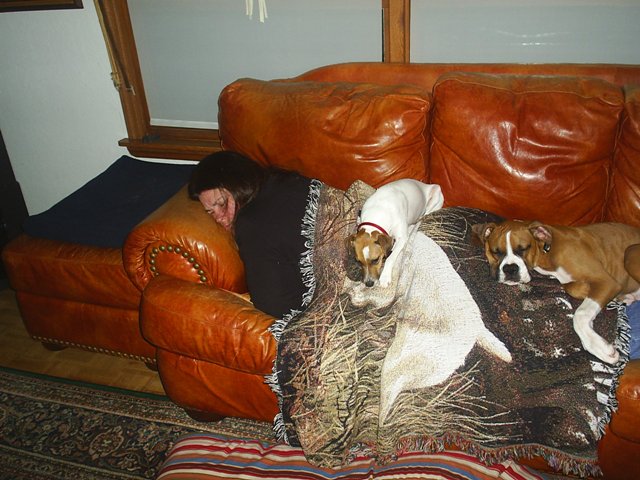 Who needs a blanket?