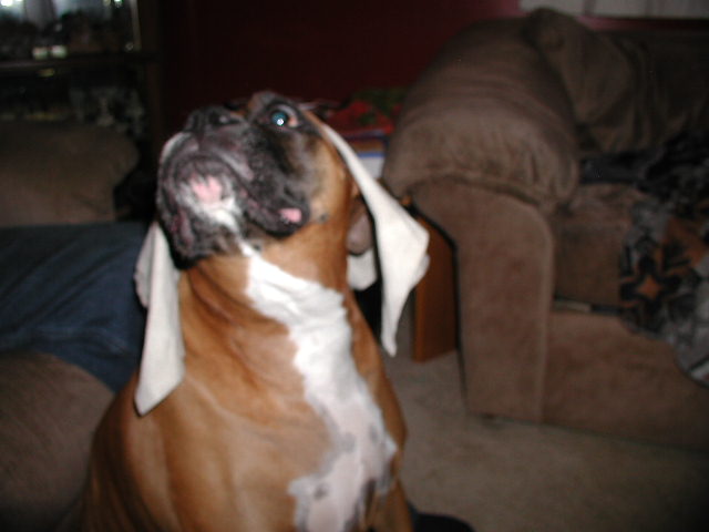 who put that on me?