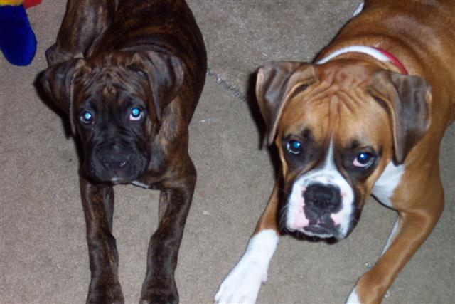 Who Us?
