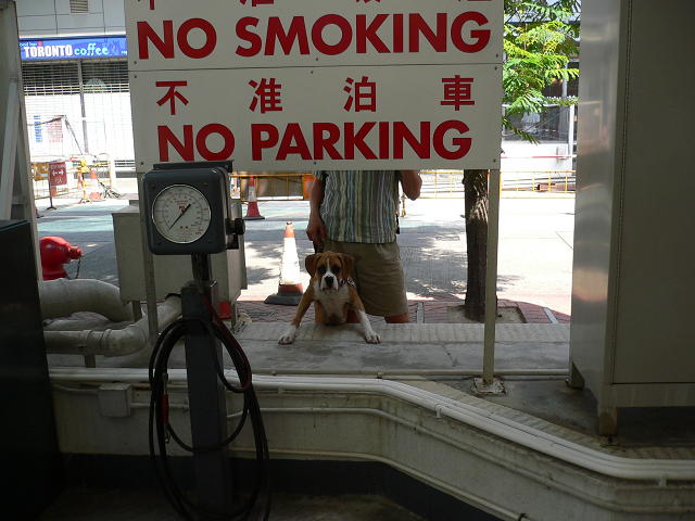 Who would dare break these rules????