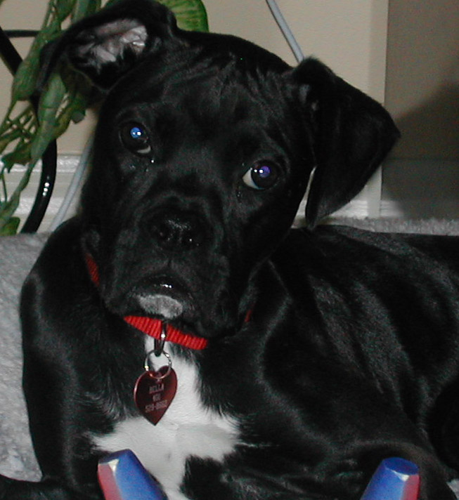 Who wouldn't love that face