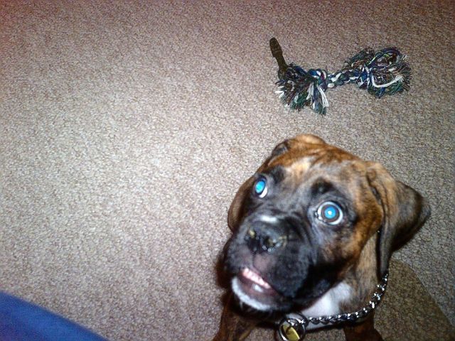 Whoooo, you talkin to me!