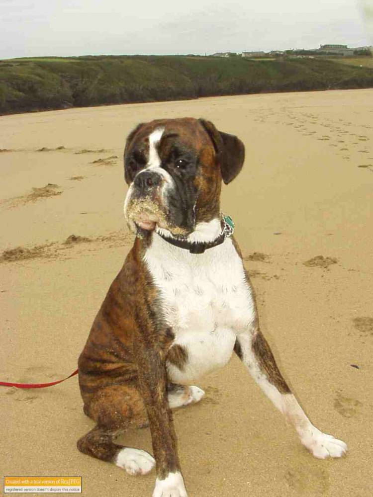 Whoops I've got sand on my face again