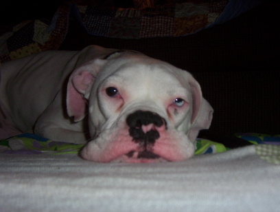 Who's a mushy face Gabe?  Who?