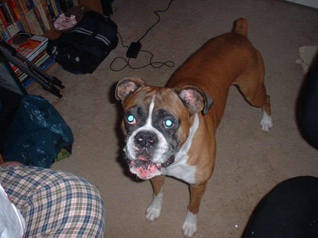 Who's got a treat?