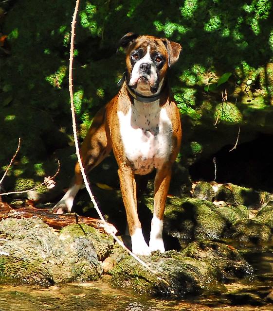 Who's got my stick?