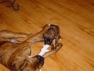 Who's Got The Upper Hand Now?