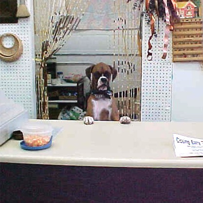 Who's minding the Store