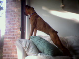 Who's There?