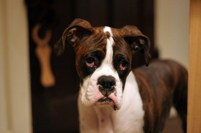 Why are my eyes red?