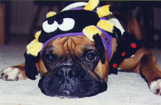 Why did Mom make me wear this stupid hat??