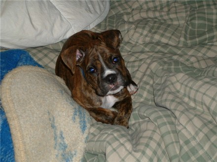 Why did you wake me?