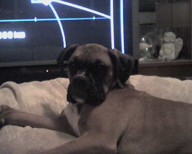 Why did you wake me?