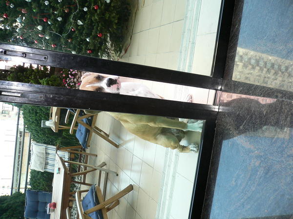 Why do I have to be out here???