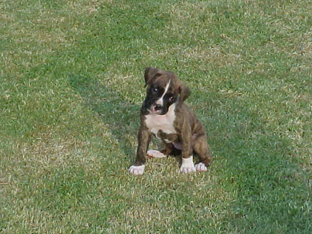 Why do I have to Take a Picture?